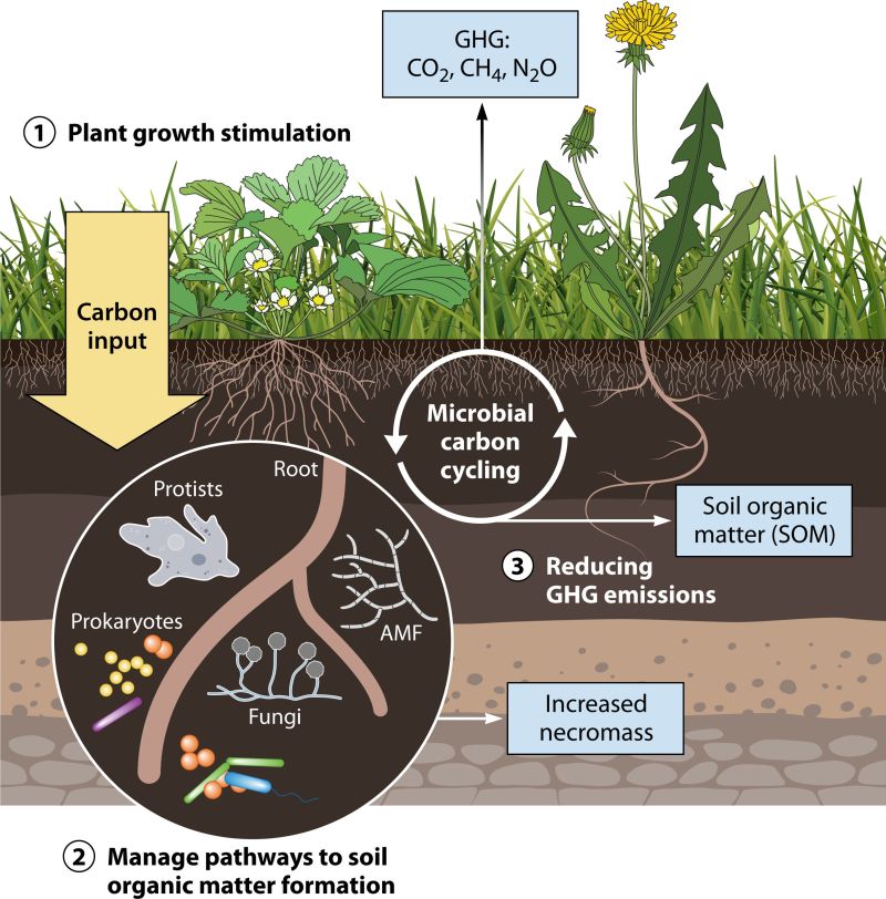 Microwave WiFi Technology